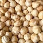 Hazelnut from GNF georgia Hazelnut - GNF georgia - Georgia