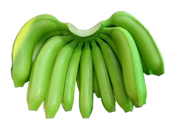 G9 CAVENDISH BANANA from GROWE EXIM G9 CAVENDISH BANANA - GROWE EXIM - India