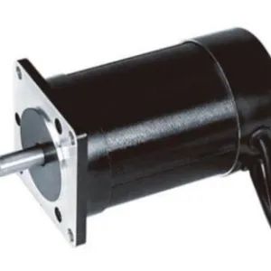 Dt57bl70-230 DC Brushless Motor Small Size Lightweight BLDC Motor for Household Appliances - Foshan Copartner Technology Co., Ltd - China