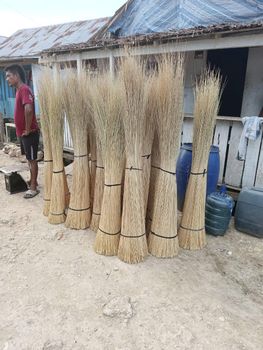 Nipa Palm broom - Fruticant Pangandaran - Indonesia