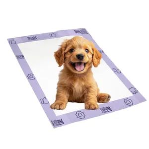 Health Care Product Manufacturers Looking for Distributors Bed Under Pad - Jinjiang Rongxin Maternal and Child Supplies Co., Ltd. - China