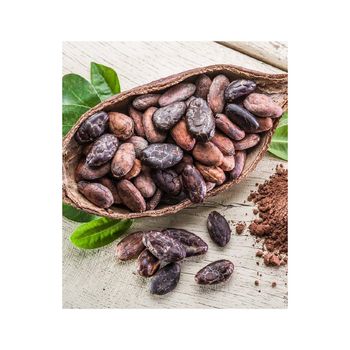 Organic Cocoa Beans - Premium Quality Wholesale Dried Cocoa Beans from AMAC GOLD AND DIAMOND METALS SUPPLIER Organic Cocoa Beans - Premium Quality Wholesale Dried Cocoa Beans - AMAC GOLD AND DIAMOND METALS SUPPLIER - Germany