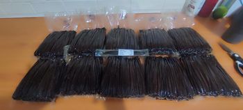 Vanilla Aroma Quality High Quality Standard Premium Sustainability Sustainable Source Local Farmers In Indonesia Moisture Content Meets International - wolrdnesia - Indonesia