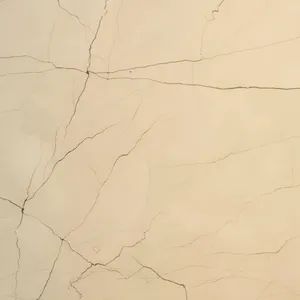 Warm Beige to Light Taupe, Occasionally with Soft Gray Undertones Balkan Beige Limestone for Flooring/Wall Cladding/Pool Coping/Vanity Tops/Stair Treads - GIM STONE CO., LTD. - China