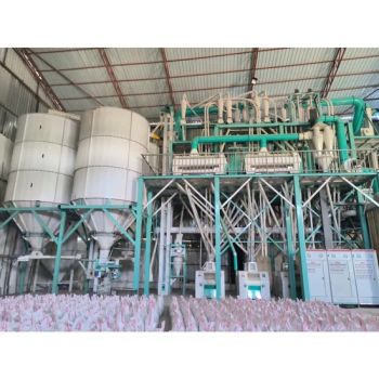 Complete Grain Processing Machine for 120tpd Wheat Flour Mills - SHANDONG XINGFENG FLOUR MACHINERY CO., LTD. - China