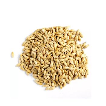 Barley Grain / Barley Malt Grain / Hulled Barley Grain At Competitive Price - BMU TRADING GMBH - Germany
