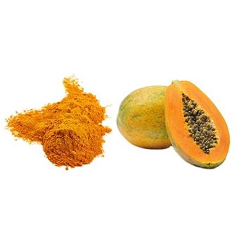 Dehydrated Papaya Enzyme Papain Extract Powder Reasonable Price 100% Organic Papaya Pawder / Papaya Juice Powder For Sale - BALKRISHNA AGRO PRODUCTS - India