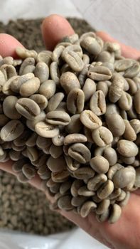 Green beans robusta coffe – product photo, Robusta Beans products found from trusted suppliers, wholesalers, manufacturers & exporters Listing