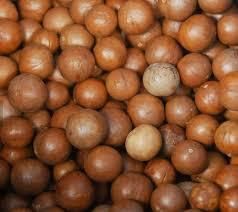Macadamia Dried Nuts Premium Quality Macadamia Nut Product Shelf Life 2 Years Place of Origin THAILAND from Thai Agri Company Macadamia Dried Nuts Premium Quality Macadamia Nut Product Shelf Life 2 Years Place of Origin THAILAND - Thai Agri Company - Thailand