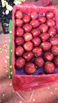 FRESH APPLES - YILDIZ TRADE CO - Turkey