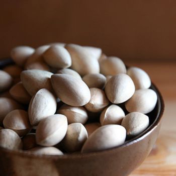 Ginkgo Nuts Premium Harvest Collection With Uniform Shape And Natural Aroma For Ingredient Import Distribution - TOSOH INTERNATIONAL - South Africa
