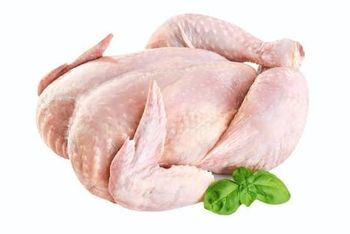 Fast Delivery Halal Whole Chicken Frozen Chicken Body Premium Quality Good Quality Vacuum Pack LQF Wholesale Price - N.G westen holding B.V - Netherlands