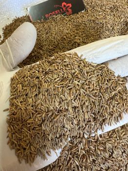 Caraway seeds Origin Egypt Purity 98% – 99.5% Color Brown To Dark Brown Foreign Matter Max 0.5% – 2% Odor Aromatic, Characteristic - Roselle herbs - Egypt