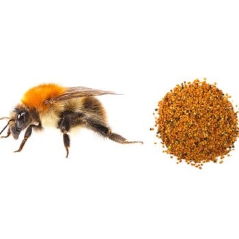 Wild Flower Natural Bee Pollen With 98% Purity Premium Bee Pollen For Nutrition And Daily Wellness Benefits - malter group - Tanzania