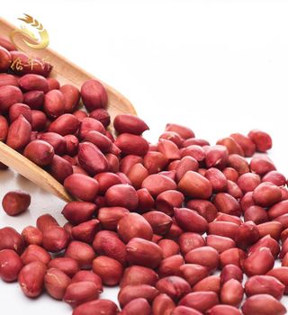 RED PEANUTS from AGRO AFRIQUE COMPANY LIMITED RED PEANUTS - AGRO AFRIQUE COMPANY LIMITED - Tanzania