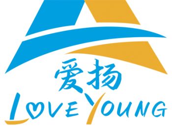 Product - Ningbo Beilun Loveyoung Auto Accessories Co., Ltd. - China