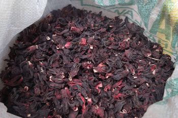 Premium Dried Hibiscus Flowers (HS Code 121190) – Export Grade, Nigeria Origin, Bulk Supply - ReignFarmX - Nigeria