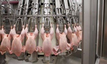 Frozen Whole Chicken - S Foods - United States