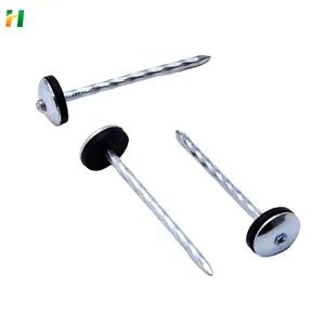 Screw Roofing Nails with Washer/Roofing Nails Umbrella Head Nail Roofing Iron Nail - Hebei Ruihao Metal Products Co., Ltd. - China