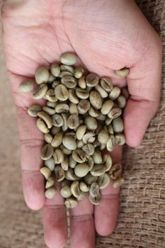 Green Coffee - StarlinesCo - Turkey