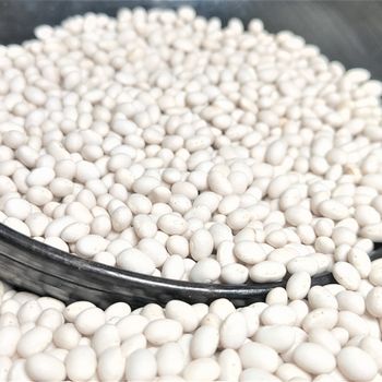 Ethiopian Origin New Crop 2024 White Pea Beans Wholesale Dried Handpicked and Polished Bulk Quality Kidney beans. - A.Z TRADING P.L.C - Ethiopia