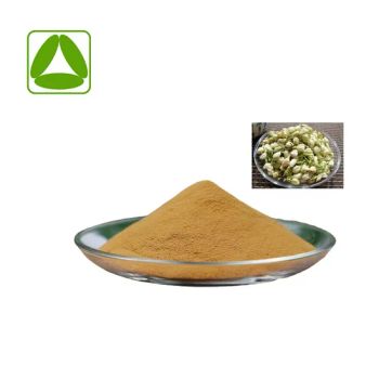 Pure Instant Jasmine Tea Extract Powder Instant Solubility Jasmine Tea Powder - Xi'an Quanao Biotech Co., Ltd. - China