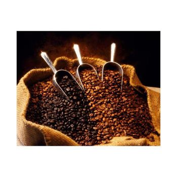 Wholesale Premium High Quality Raw Coffee Beans Directly From the Farm Grade 100% Arabic Green Coffee Beans -  DAEWKAEW PANTAMANG Co., Ltd - Thailand