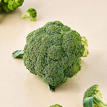 Fresh Broccoli, High Quality Bulk, Cheap Wholesale Pricing Type Fresh Broccoli Grade A / B / Premium Supply Type Wholesale Bulk Supply - A.C.P. AGRICULTURE COMPANY LIMITED - Thailand
