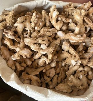 dried ginger Form Slices Impurities <1% Origin Nigeria Moisture Content 7–10% Supply Capacity 100kg (scalable) Color And Aroma Strong, Clean, Naturally - Ahmad & co. - Nigeria