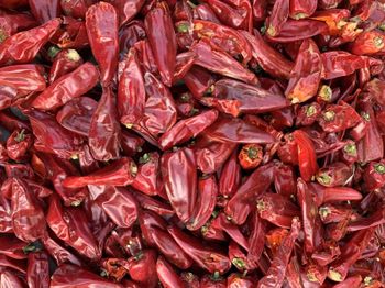 Yidu chili - Zhecheng Yuyuan Foodstuff Co.,Ltd. - China