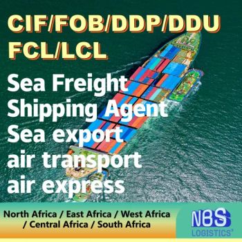 Algeria Sea Freight From LCL/FCL DDU/DDP Shipping Ocean Freight Forwarder Air Shipment Railway Logistics Sea Freight to Lesotho/Madagascar - Guangzhou Nuobesi International Logistics Co., Ltd - China
