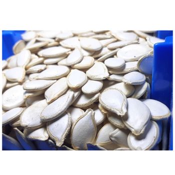 Rich Quality High Grade Pure Natural Organic Pumpkin Seeds Kernels from Top Supplier - A.Z TRADING P.L.C - Ethiopia