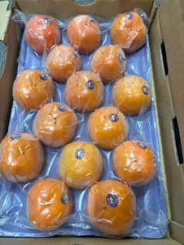 Fresh Persimmons – product photo, Persimmon products found from trusted suppliers, wholesalers, manufacturers & exporters Listing