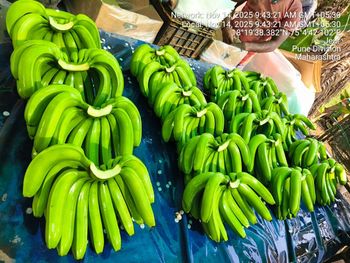 Cavendish Banana Origin India Quality Premium Net Weight 13 Kilo Gross Weight 14 Kilo Hand Size Options 4/5/6/7/8 Total Boxes Per Container - NATURE SOLUTIONS - India