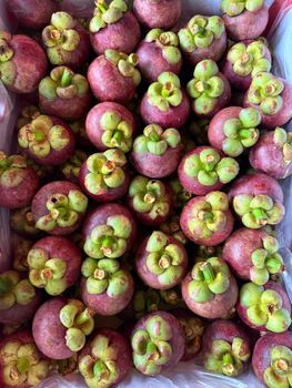 Mangosteen Size Grade 3a To - PT.Gemilang Wellness Persada - Indonesia