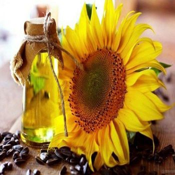 Natural Crude Sunflower Oil For Food Manufacturing And Kitchen Use Offering Rich Nutritional Value And Consistent Quality For Professional Cooking Needs - Carla Pisselli Commercio - Brazil