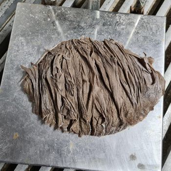 High Quality Halal Dry Salted & Dried Beef Omasum From Carcass Frozen IQF Low-Carb & Low-Sodium Vacuum Pack BQF Process - CPW TRADE LTD - United Kingdom
