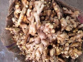 KARBY ANGLONG ASSAM INDIA G.I TAGGED HIGH QUALITY RAW GINGER from NORTH EASTERN INDIAN MOUNTAIN HARVEST EXPORTER(NEIMHEX) KARBY ANGLONG ASSAM INDIA G.I TAGGED HIGH QUALITY RAW GINGER - NORTH EASTERN INDIAN MOUNTAIN HARVEST EXPORTER(NEIMHEX) - India