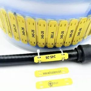 Tie-on Cable Tags Printable Printable Labels Markers for Identification - Shanghai Wellco International Limited - China
