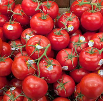 Carefully Cultivated and Hand-Harvested Fresh Cherry Tomatoes 10kg Premium Fresh Edible Cherry Tomatoes For Sale - Sosa Merchant Solutions - Austria