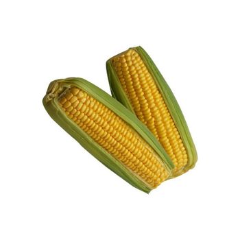 bulk yellow corn kernels for restaurants food businesses and home kitchens premium quality corn grains perfect for popcorn cornmeal tortillas baking and traditional cooking recipes - SATTER FOOD AND BEVERAGE - Netherlands