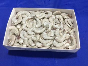 Frozen Prawns - Shourex Global - India