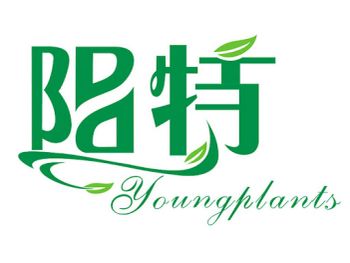 Product - Foshan Sanshui Youngplants Co., Ltd. - China