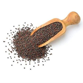 Canola Seeds Type seeds Shelf Life 12 months Packaging 25kg / 50kg PP bags or bulk in - jbssa - Brazil
