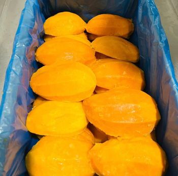 frozen mango Grade A / B / C Packaging upon - GREEN PLANT - Egypt