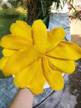 Dried Mango Slices Organic Yes Origin vietnam Degree of Processing Dried Degree Of Maturity Semi-Ripe - Trade4go - Vietnam