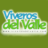 Product - VIVEROS VALLE BALBUENA S.L. - Spain