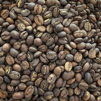 Ethiopian coffee - Fresh Harvest - Sudan