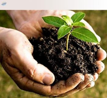 Bio Humus - Biological Fertilizer -  Ciubol  - Moldova, Republic of