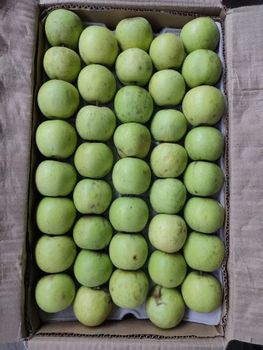 A Grade Golden Apple, Packaging Type: Carton, Packaging Size: 20 - Amala The Pure Foods Store - India